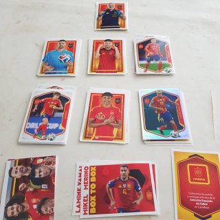 Colección Cromos Selección España Mundial Fútbol