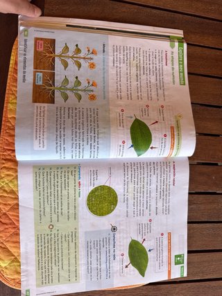 CIENCIAS DA NATUREZA 5 (COMUNIDADE ZOOM)