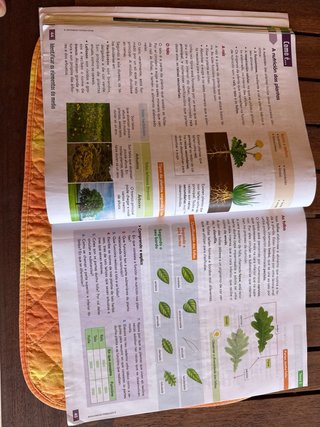 CIENCIAS DA NATUREZA 5 (COMUNIDADE ZOOM)
