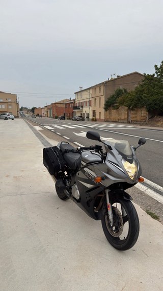 Suzuki GS500F 2007 Gris