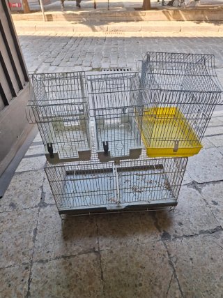 3 Jaulas y 1 Jaulón para Canarios