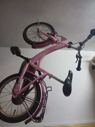Bicicleta Infantil Little Princess Rosa