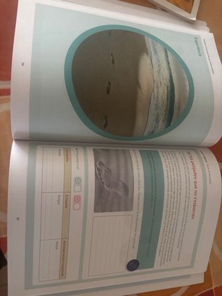 Fet religiós i societat: Tercer de secundària (...