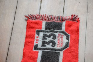 Cachecol SL Benfica Campeões Nacionais
