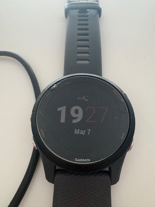 Garmin Forerunner 255 Negro/Gris