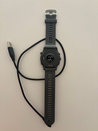 Garmin Forerunner 255 Negro/Gris