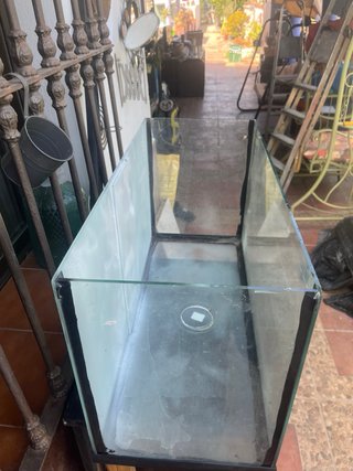 Terrario de cristal pecera