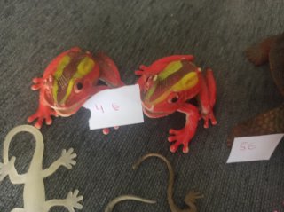 Lote de juguetes: ranas, lagartos, arañas y tortug