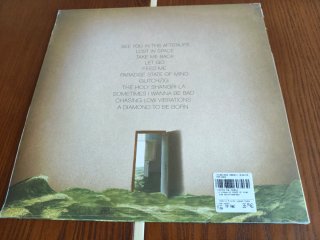 Foster The People - Paradise State Of Mind LP Verd