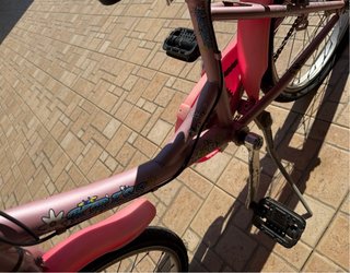 Coppia Bici Bambina Rosa
