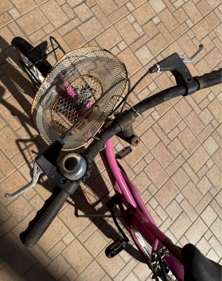 Coppia Bici Bambina Rosa