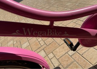 Coppia Bici Bambina Rosa