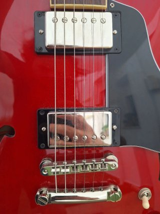 Epiphone 335 Inspired by Gibson customizada