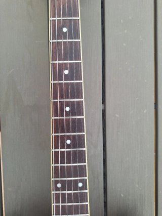 Epiphone 335 Inspired by Gibson customizada