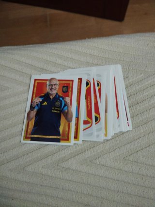 Lote 61 cromos España Carrefour sin repetir