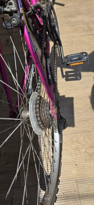 Bicicleta MTB Globe Trotter 18 velocidades
