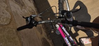 Bicicleta MTB Globe Trotter 18 velocidades