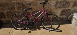 Bicicleta MTB Globe Trotter 18 velocidades