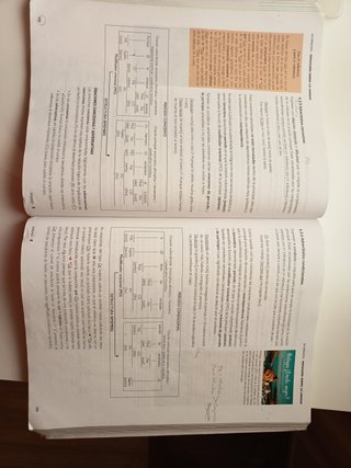 Lengua castellana y literatura 1, Le Bachillerato