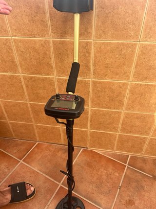 Detector de Metales Fisher F19
