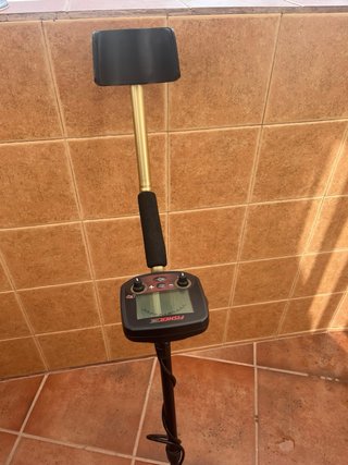 Detector de Metales Fisher F19