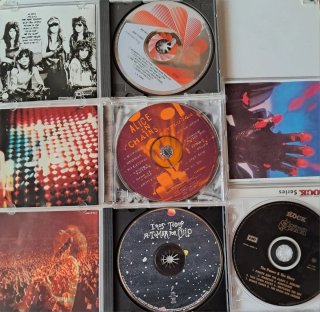 Cds L.A. Guns, Alice in Chains, Extremoduro Saxon