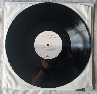 Doble Vinilo Robert Plant & Alison Krauss