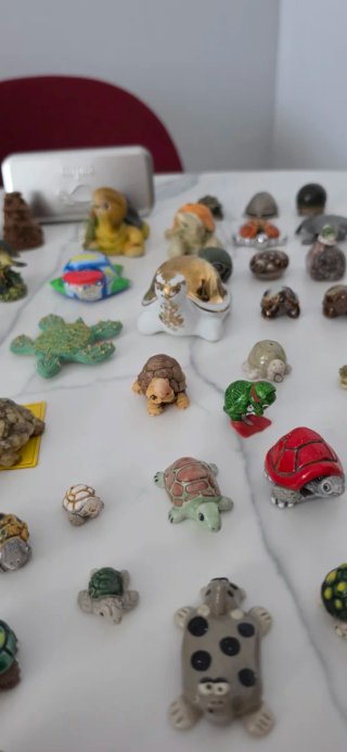 Collezione Tartarughe - Pezzi Singoli o Lotto