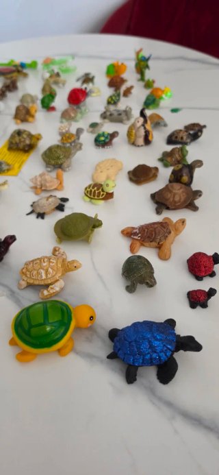 Collezione Tartarughe - Pezzi Singoli o Lotto