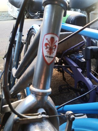 Citybike Sergio Bianchi silver 28" con portapacchi