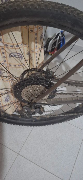 Vendo Orbea Alma H30 2024 talla XL,