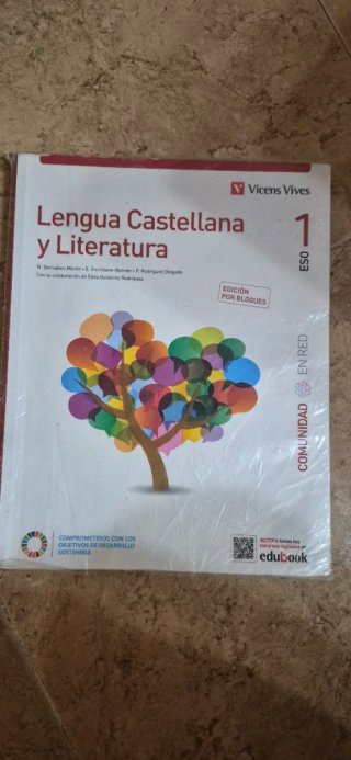 Lengua castellana y literatura