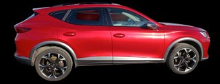 CUPRA Formentor 2023 DESDE 418€ MES ¡SIN ENTRADA!