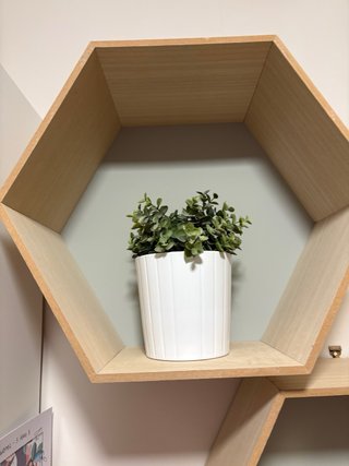 Estanterías hexagonales de madera
