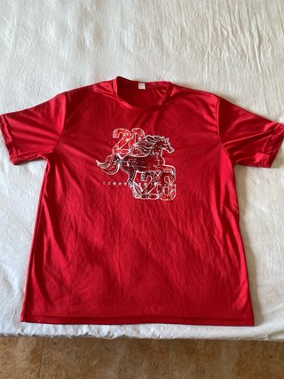 Pack 6 Camisetas Calaveras Talla L (1 o 2 XL)
