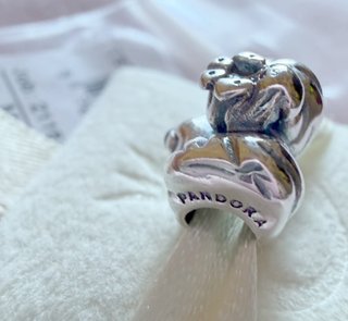Pandora Charm Perro Plata y Azul