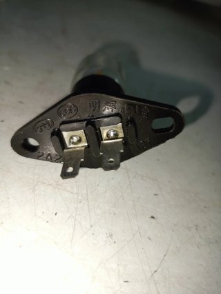 Bombilla Microondas 2A 250V