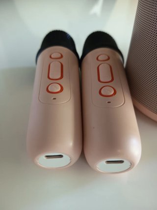Karaoke Inalámbrico-Altavoz bluetooth