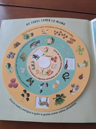 Los cinco sentidos