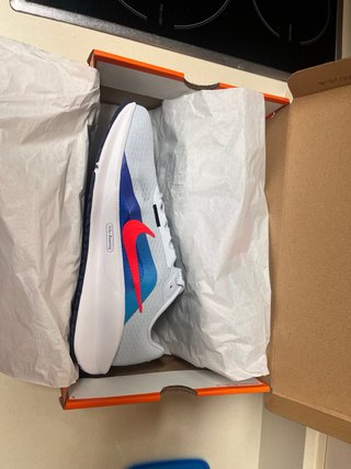 Zapatillas Nike Downshifter 13 Azul/Gris