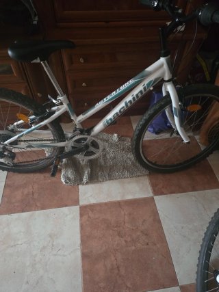 Bicicletas 24 Bachini Adventure