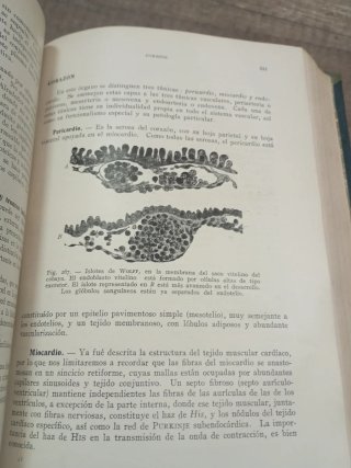 Tratado elemental de histologia y anatomia microsc
