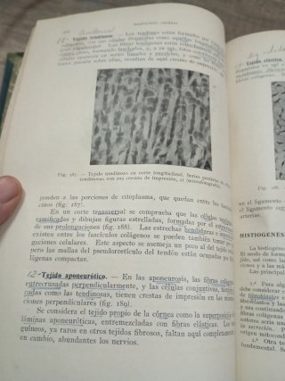 Tratado elemental de histologia y anatomia microsc