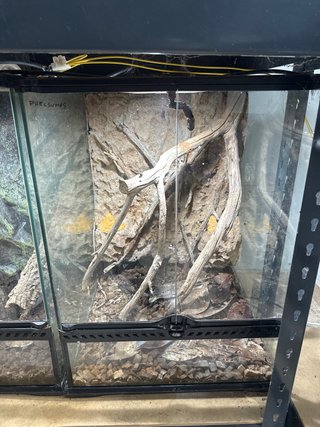 Terrario Exo Terra 45x45x60