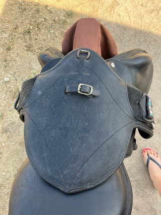 Cincha Voltaire 60cm