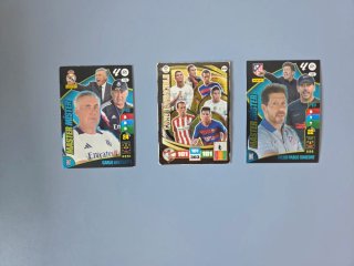 Lote de cromos de fútbol variado 5 (650 cartas)