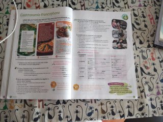 Libro francés 4 ESO. ISBN 9788490498163