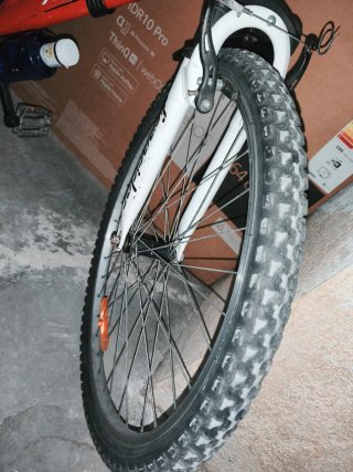 Bicicleta