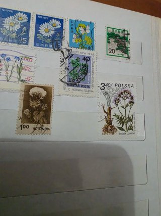 Lotto francobolli fiori e piante