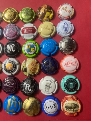 Lote 49 Chapas de Cava Colección